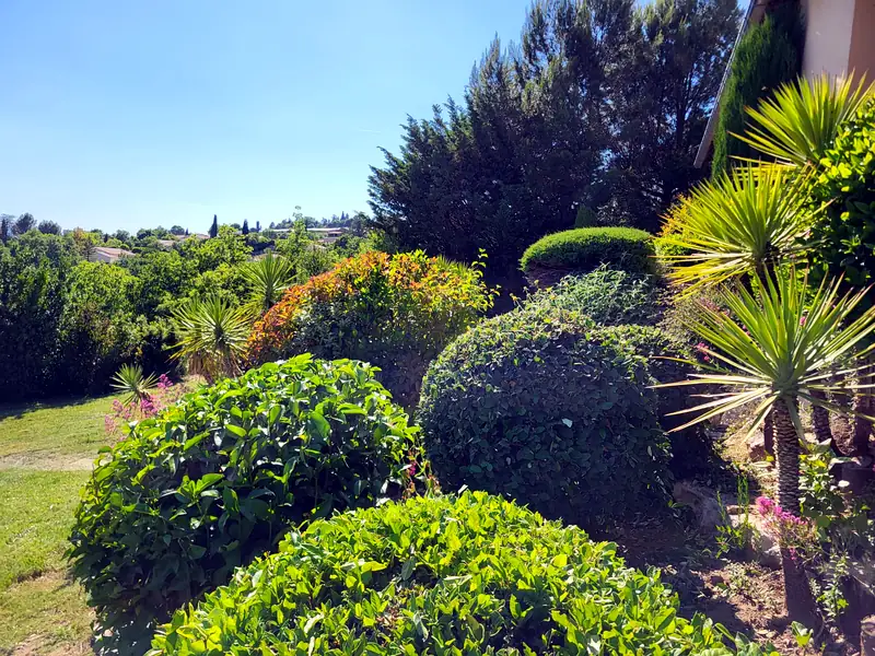 Buis taillés en boule et cyprès dans un jardin provençal — AES SAP jardinier Remoulins Apt