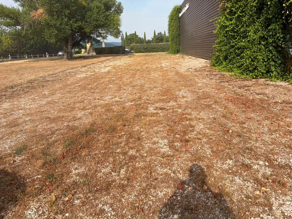 Cour en gravier envahie de mauvaises herbes avant l'intervention AES SAP